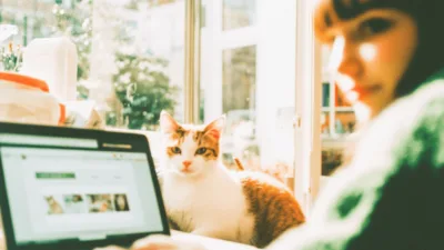 Studentka trzymająca kota i torbę z zakupami ze sklepu Zooplus, korzystająca ze zniżki studenckiej na produkty dla zwierząt